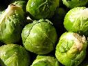 Brussels Sprouts - Jade Cross