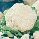 Cauliflower - Fremont